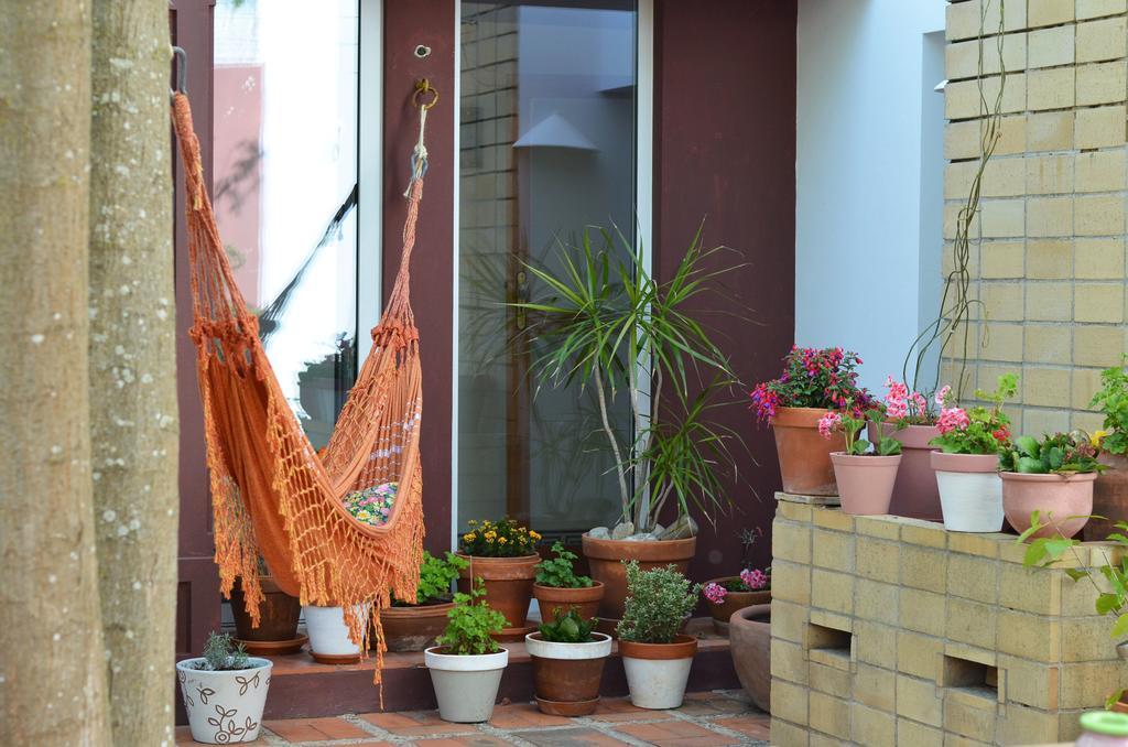 مبيت وإفطار فيلا نوفا دو ميلفونتس A Casa Da Arvore المظهر الخارجي الصورة