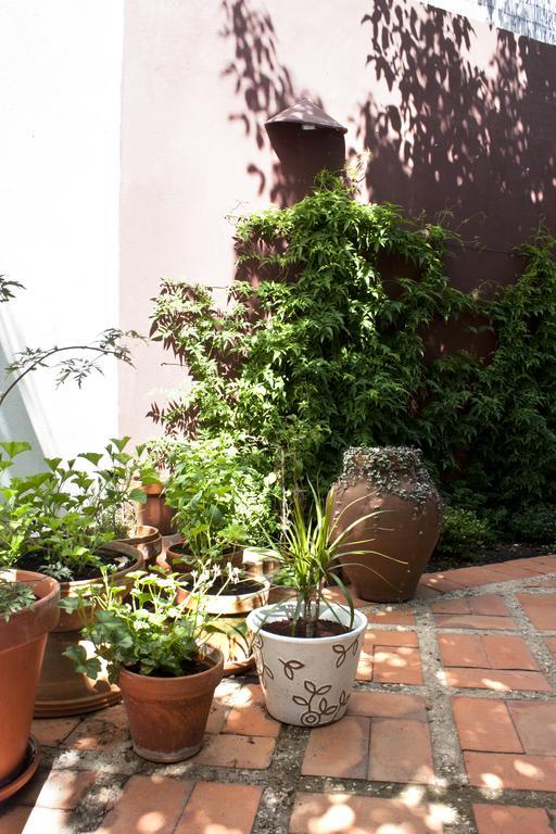 مبيت وإفطار فيلا نوفا دو ميلفونتس A Casa Da Arvore المظهر الخارجي الصورة